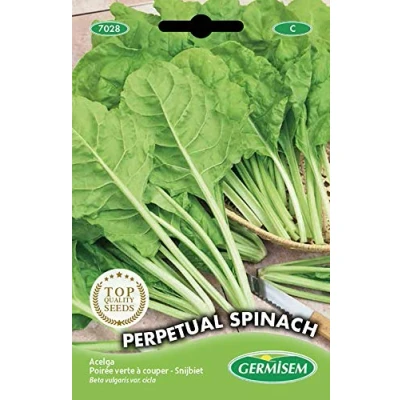 Afbeelding van Germisem Perpetual Spinach Snijbiet Zaden 5 g