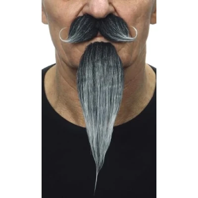 Afbeelding van Valse baard My Other Me Grijs