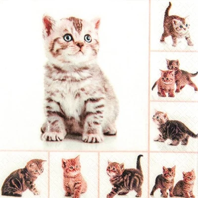Afbeelding van 20 servetten Meow speelse katten/dieren/diermotief 33 x cm