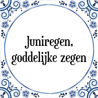 Afbeelding van Juniregen, goddelijke zegen Tegeltje + Spreuk