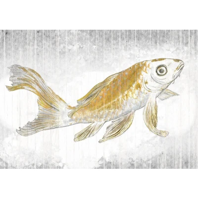 Afbeelding van Komar Raw Golden Koi RSX8 049