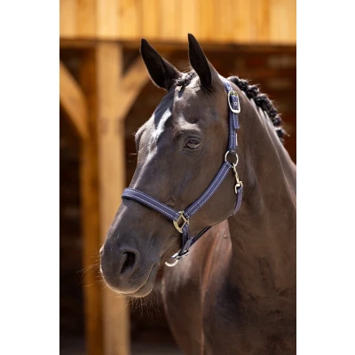 Afbeelding van LeMieux SS&#039;24 Halster Essentials Yard