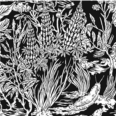 Afbeelding van Eternal Tapestry Wild Strawberries (CD)