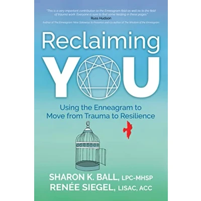 Afbeelding van Reclaiming YOU: Using the Enneagram to Move from Trauma Resilience