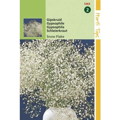 Afbeelding van Gypsophila, Gipskruid Snow Flake dubbelbloemig wit