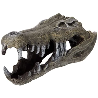Afbeelding van Blue Ribbon Palissander Nijl Krokodil Schedel Aquarium Decor, Groot, grijs