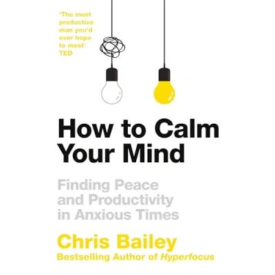Afbeelding van How to Calm Your Mind: Finding Peace and Productivity in Anxious Times