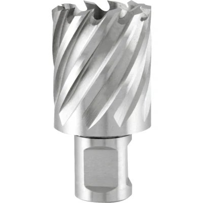 Afbeelding van RUKO 108212E Kernboor 12 mm 1 stuk(s)