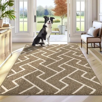 Afbeelding van Biscpro Deurmatten voor Binnen, 80 x 120 cm Deurmat Antislip Achterkant, Vuilvangmat Absorberende Entree, Keuken, Achterdeur,Huisdieren en Tuin (Beige)