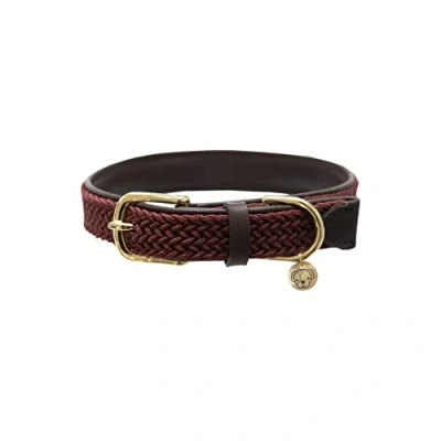 Afbeelding van Hondenhalsband van nylon Kentucky