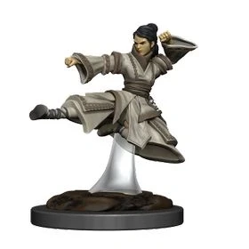 Afbeelding van Dungeons &amp; Dragons Icons of the Realms Female Human Monk Premium Figure