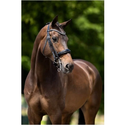 Afbeelding van BR Hoofdst Keswick stang/trens Zwart/Zilver Full