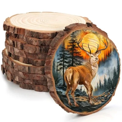 Afbeelding van Kurtzy Natuurlijke Onafgewerkte Houten Plakken (10 Stuks) 14 16 cm Diameter Blokcirkels met Schors en Zonder Gat Voor DHZ Kunst Ambachten, Kerstversieringen Huwelijksdecoraties
