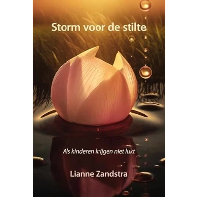 Afbeelding van Storm voor de stilte