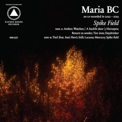 Afbeelding van Maria BC Spike Field (CD)