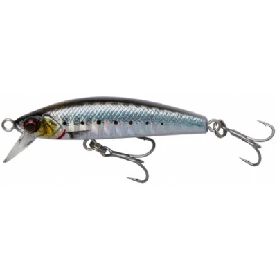 Afbeelding van Savage Gear Gravity Minnow &#039;Sardine Php&#039; 5cm (8g) Plug