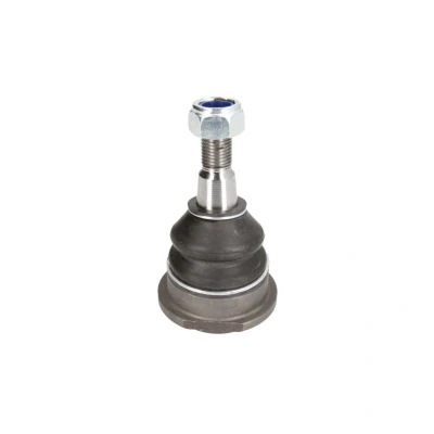 Afbeelding van Moog Fuseekogel CH BJ 14087