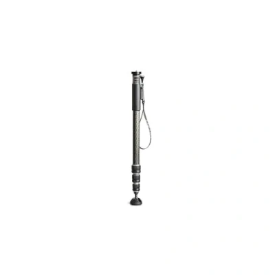 Afbeelding van Gitzo Monopod GM2542 eXact carbon series 2
