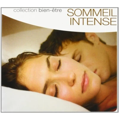 Afbeelding van Various Artists Sommeil Intense Bien Être (CD)