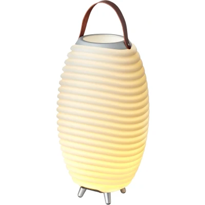 Afbeelding van Synergy 50 Lamp En Speaker van Kooduu