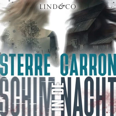 Afbeelding van Schim in de nacht