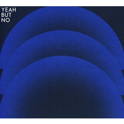 Afbeelding van Yeah But No (LP)