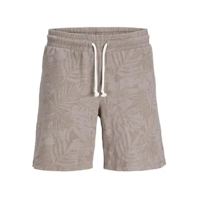 Afbeelding van JACK &amp; JONES JPSTKARL JJNAEL Shorts CMT, falcon, M