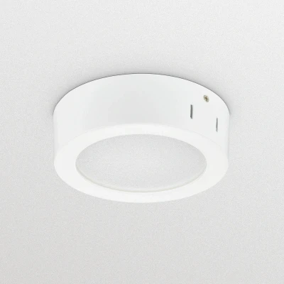 Afbeelding van Philips Professional LED opbouwdownlight DN145C LED10S/830 PSU II WH