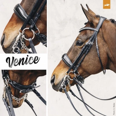 Afbeelding van Schockemohle Sports Venice stang en trens hoofdstel zwart maat:full
