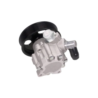 Afbeelding van Servo pomp MAXGEAR 48 0116