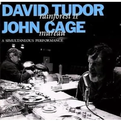 Afbeelding van David Tudor &amp; John Cage Tudor: Rainforest II, Cage: Mureau (2 CD)