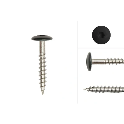 Afbeelding van Kleurkopschroeven Zwart rvs 4.8 x 32 mm Doos 100 Stuks