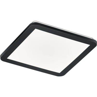 Afbeelding van Reality Camillus Plafondlamp 30 x cm