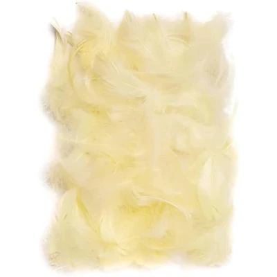 Afbeelding van Netuno 150 ecru decoratieve vogel veren 10g natuur voor DIY Craft pasen kerst figuur maskers bruiloftsfeesten