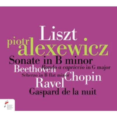 Afbeelding van Liszt: Sonata In B Minor