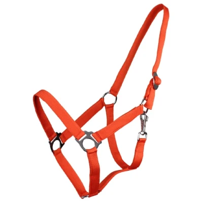 Afbeelding van QHP Halster Slide Oranje