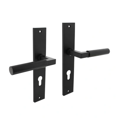 Afbeelding van Deurklink Bau Stil op schild met profielcilindergat 72mm mat zwart