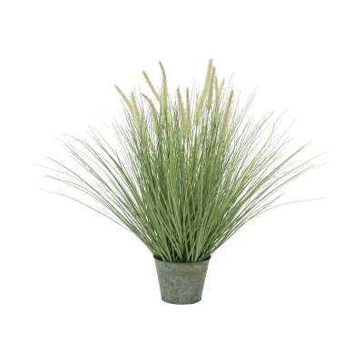 Afbeelding van Europalms sierkunstgras in pot voor binnen 70 cm hoog