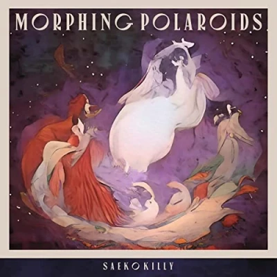 Afbeelding van Saeko Killy Morphing Polaroids (LP)
