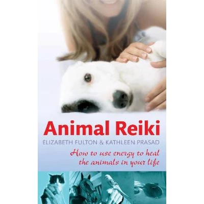 Afbeelding van Animal Reiki: How to use energy heal the animals in your life