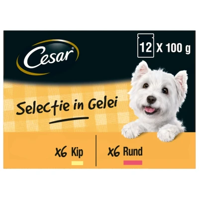 Afbeelding van Cesar Maaltijdzakjes Multipack Adult In Gelei Hondenvoer 12 stuks