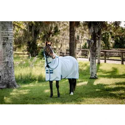 Afbeelding van Amigo Bug Rug XL Plus Azure Blue/Navy/Electric Blueverkocht door Agradi