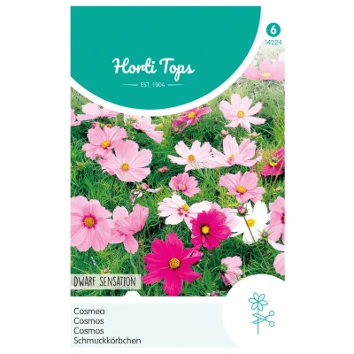 Afbeelding van Cosmos, Cosmea Dwarf sensation gemengd