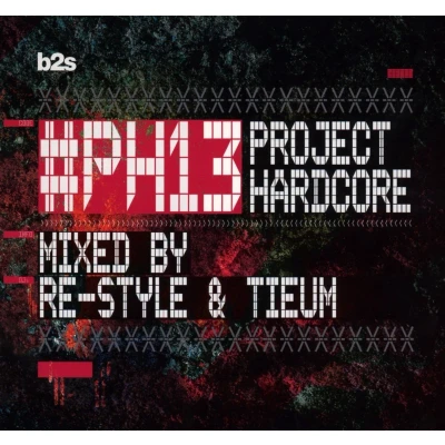 Afbeelding van Various Artists Project Hardcore 2013 (CD)