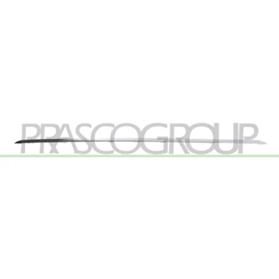Afbeelding van Sier / beschermingspaneel, bumper PRASCO RN3321255