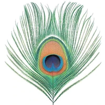 Afbeelding van Wasp Star (Apple Venus Vol. 1)
