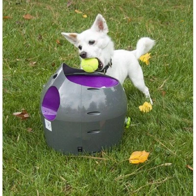 Afbeelding van Petsafe Automatische Ballenwerper