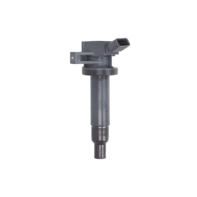 Afbeelding van Bobine DELPHI GN10314 12B1