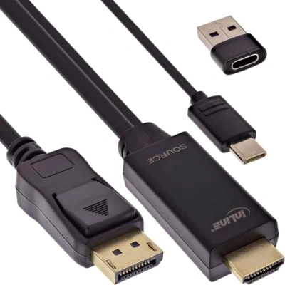 Afbeelding van InLine HDMI naar DisplayPort converter kabel, 4K/60Hz, zwart, 1m (2 m), Videokabel