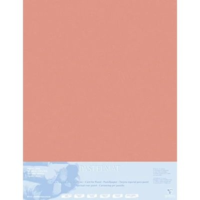 Afbeelding van Clairefontaine 396012C tekenbladen (verpakking met 5 vellen pastelmat op karton gelamineerd, 1800 µm, 70 x 100 cm, ideaal voor droogtechnieken en pastel) sienna